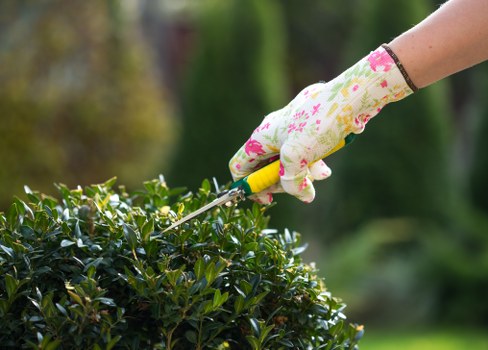 Commercial tree maintenance for a Cranford premises