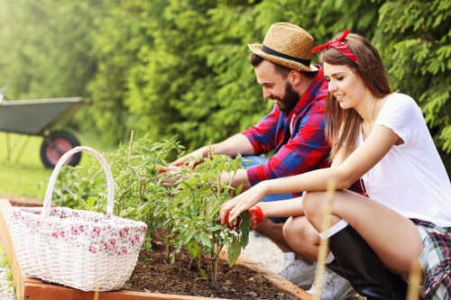 Professional tree care service in Cranford with safety-focused methods