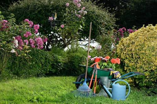 Tree surgeon assessing tree safety in a residential garden