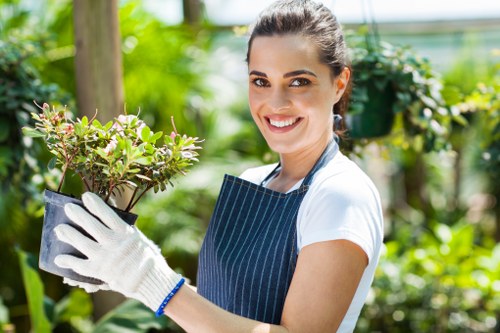 Inclusive web access for Cranford tree surgery services
