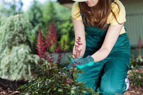 Tree surgeons managing pruning and site safety during a service