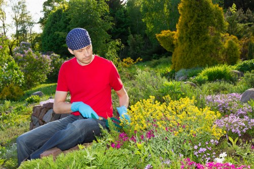 Professional tree inspection for a commercial site in Cranford