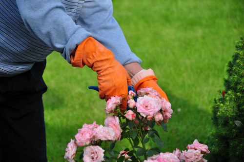 Local tree removal service working around fences and landscaping in Cranford